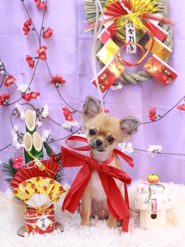 20230121れおくん